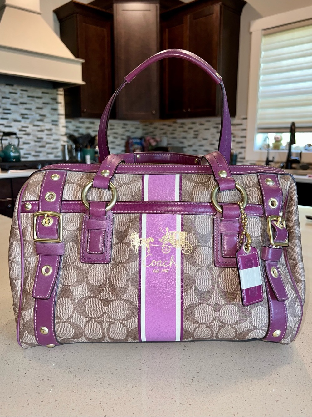Coach Brown Signature Satchel and Brown Stripes